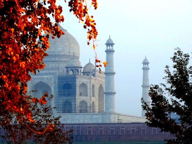 Empieza a apreciarse